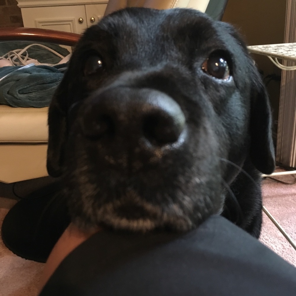Meet your Posher, Lisa